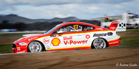 2019 Scott McLaughlin
