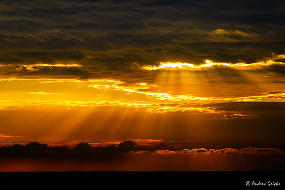 Sunrise at the Gold Coast