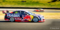 2017 Shane van Gisbergen