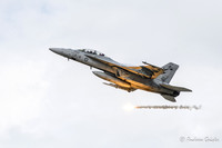 Boeing F/A-18F Super Hornet