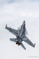 Boeing F/A-18F Super Hornet